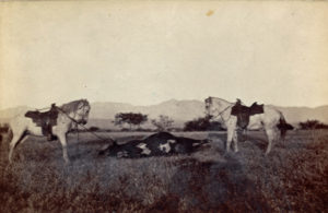 No 8, Album 1 edited