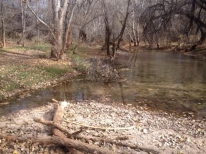Cienega Creek Davidson Canyon